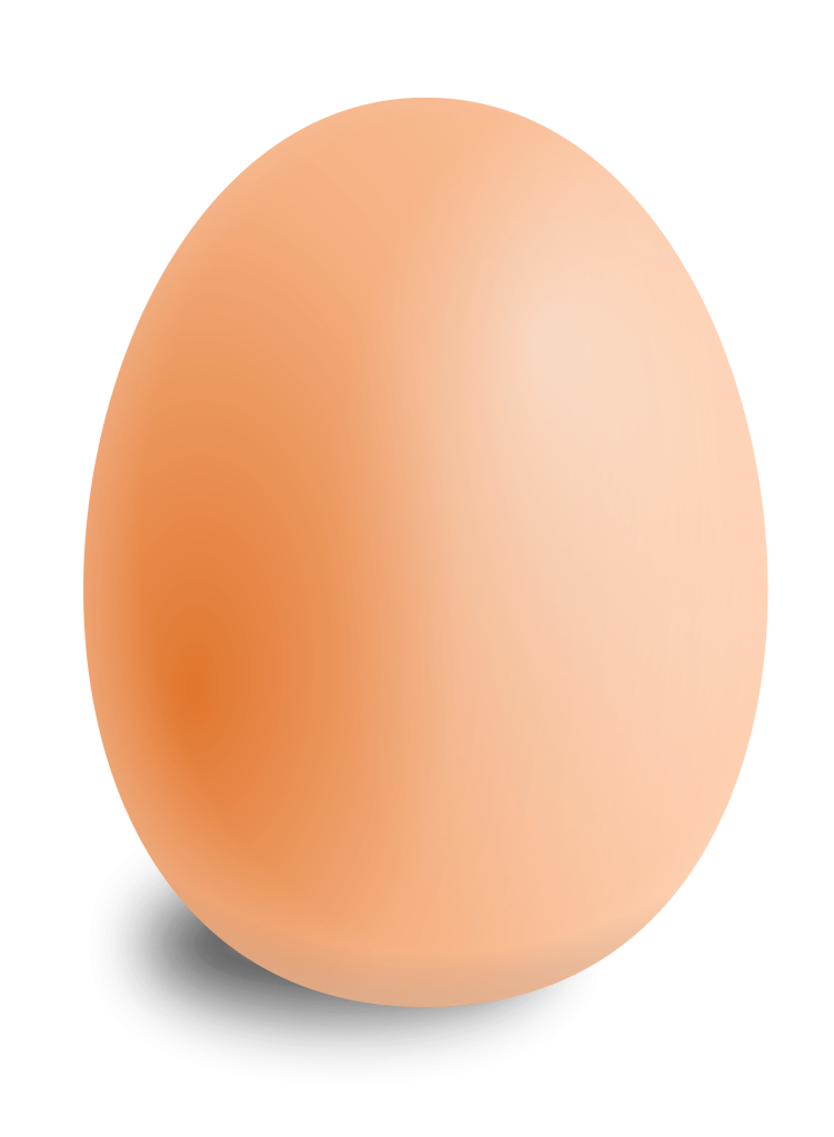Huevos de diferentes tamaños de Avícola Olave.