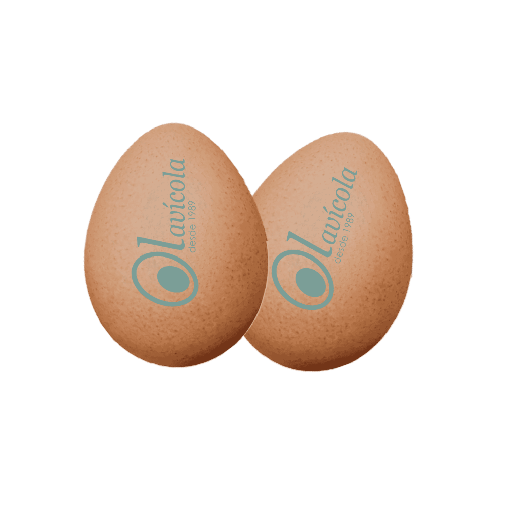 Huevos timbrados de Olavícola